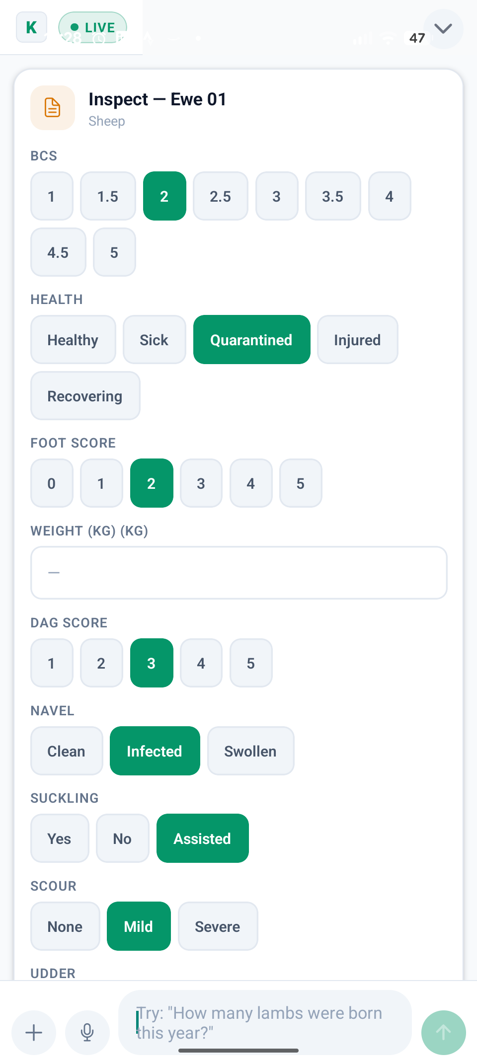 Inspection form with condition scoring